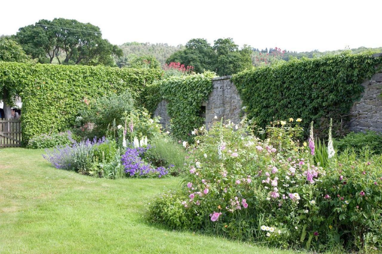 Anick Grange Farm B&B Hexham Exteriör bild