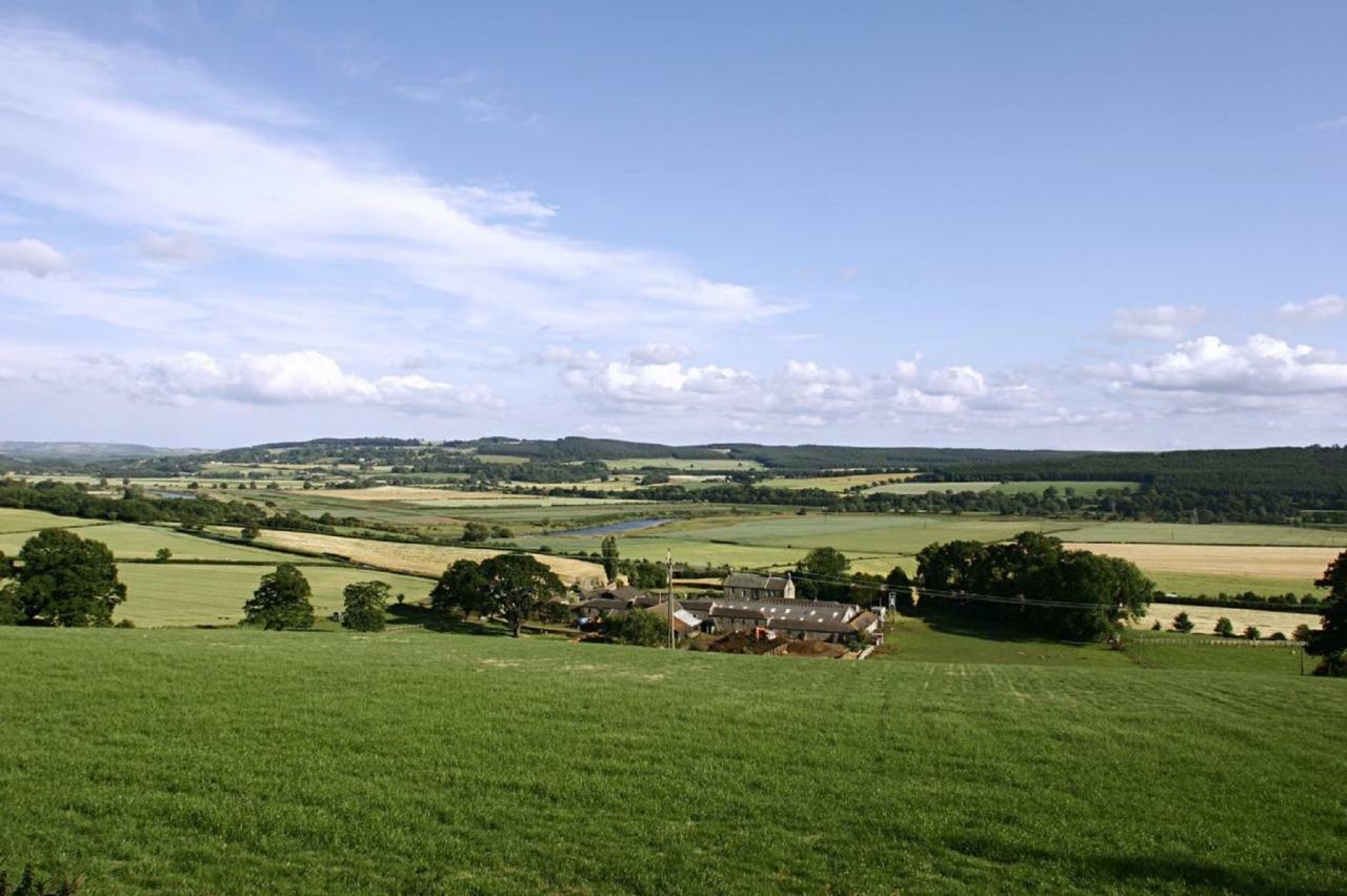 Anick Grange Farm B&B Hexham Exteriör bild